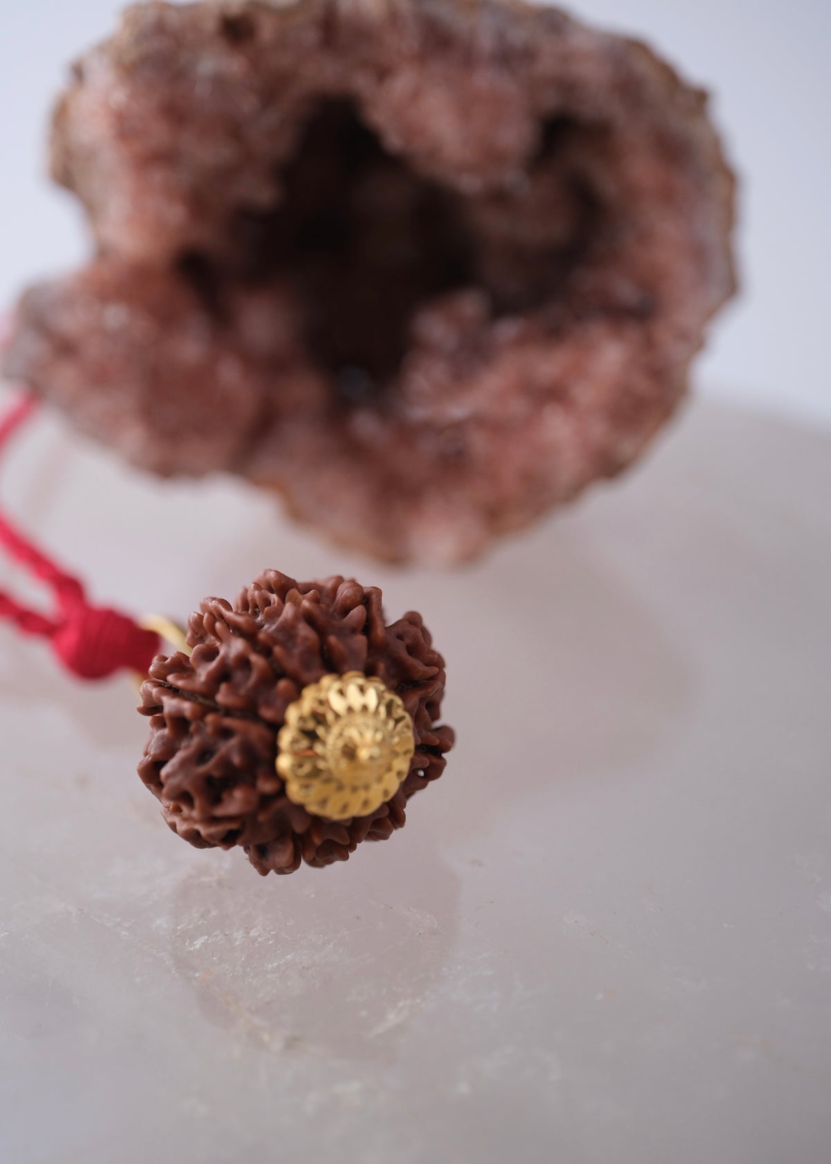 10 Mukhi 18k Gold Collectors Nepal Rudraksha Pendant | VISHNU Abundance & Victory