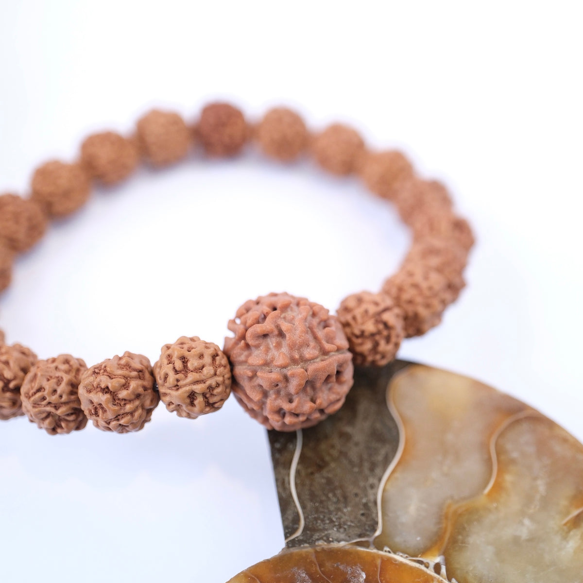 TEMPLE Collection LAKSHMI 7 Mukhi Nepal Guru bead with 5 Mukhi from Indonesia | Rudraksha bracelet