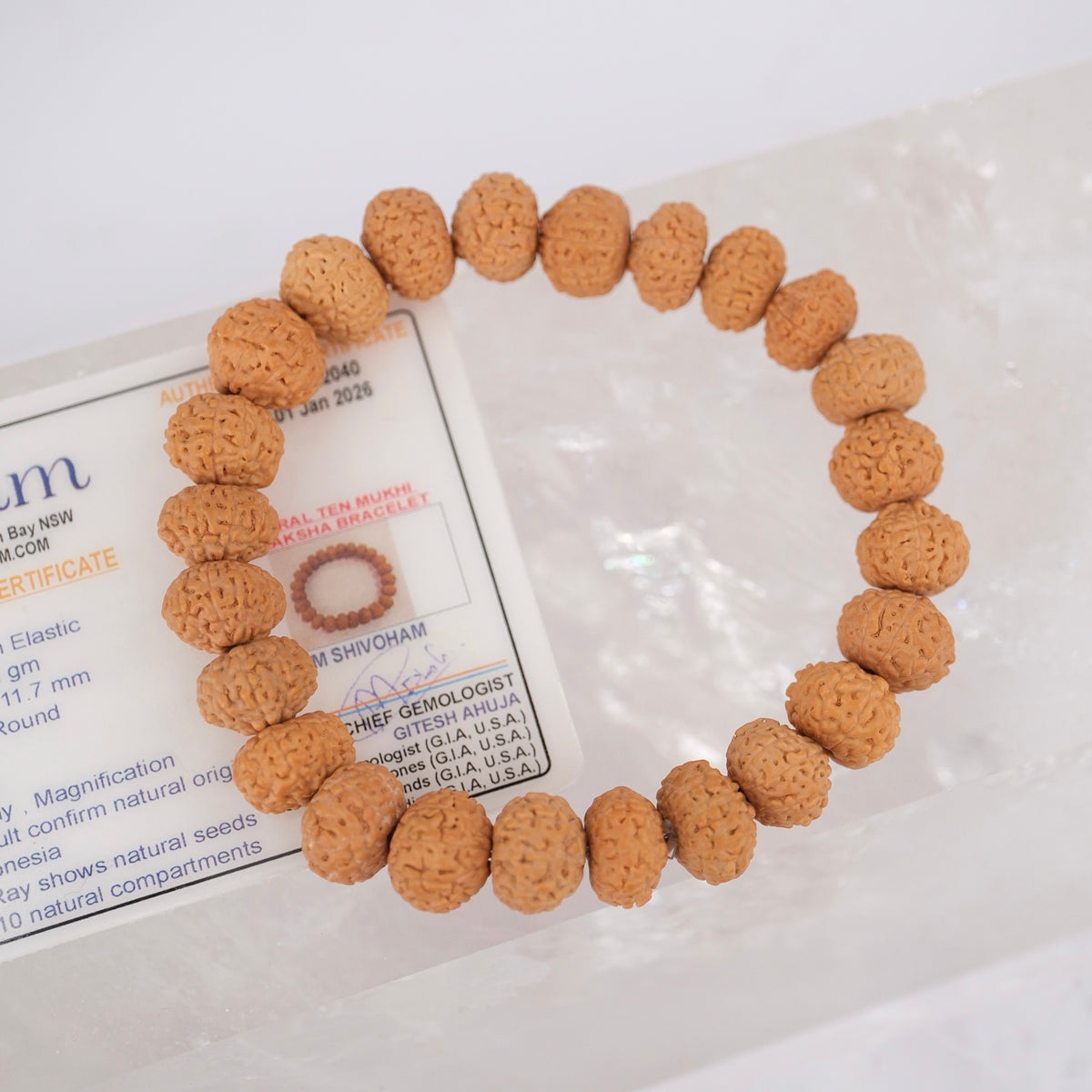 TEMPLE Collection: all Goodness & Luck VISHNU | Finest Indonesian 10 Mukhi bracelet