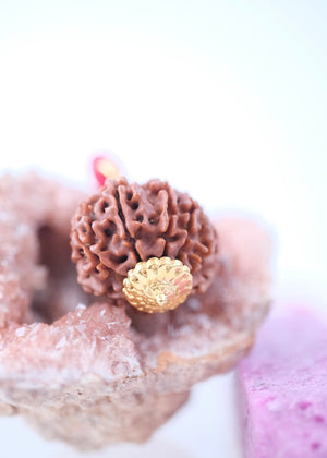 10 Mukhi 18k Gold Collectors Nepal Rudraksha Pendant | VISHNU Abundance & Victory