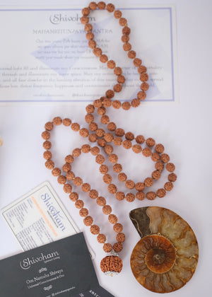 Shivoham Premium collector's Rudraksha japa mala for courage, wisdom, focus, and clarity, finished with sterling silver caps and charms. Authentic Nepal Rudraksha mala resting on clear quartz crystal