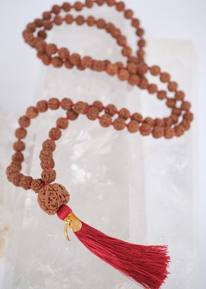 TEMPLE Collection: MAHADEV | NEPAL 5 Mukhi Guru bead, large 10mm premium Rudraksha Mala