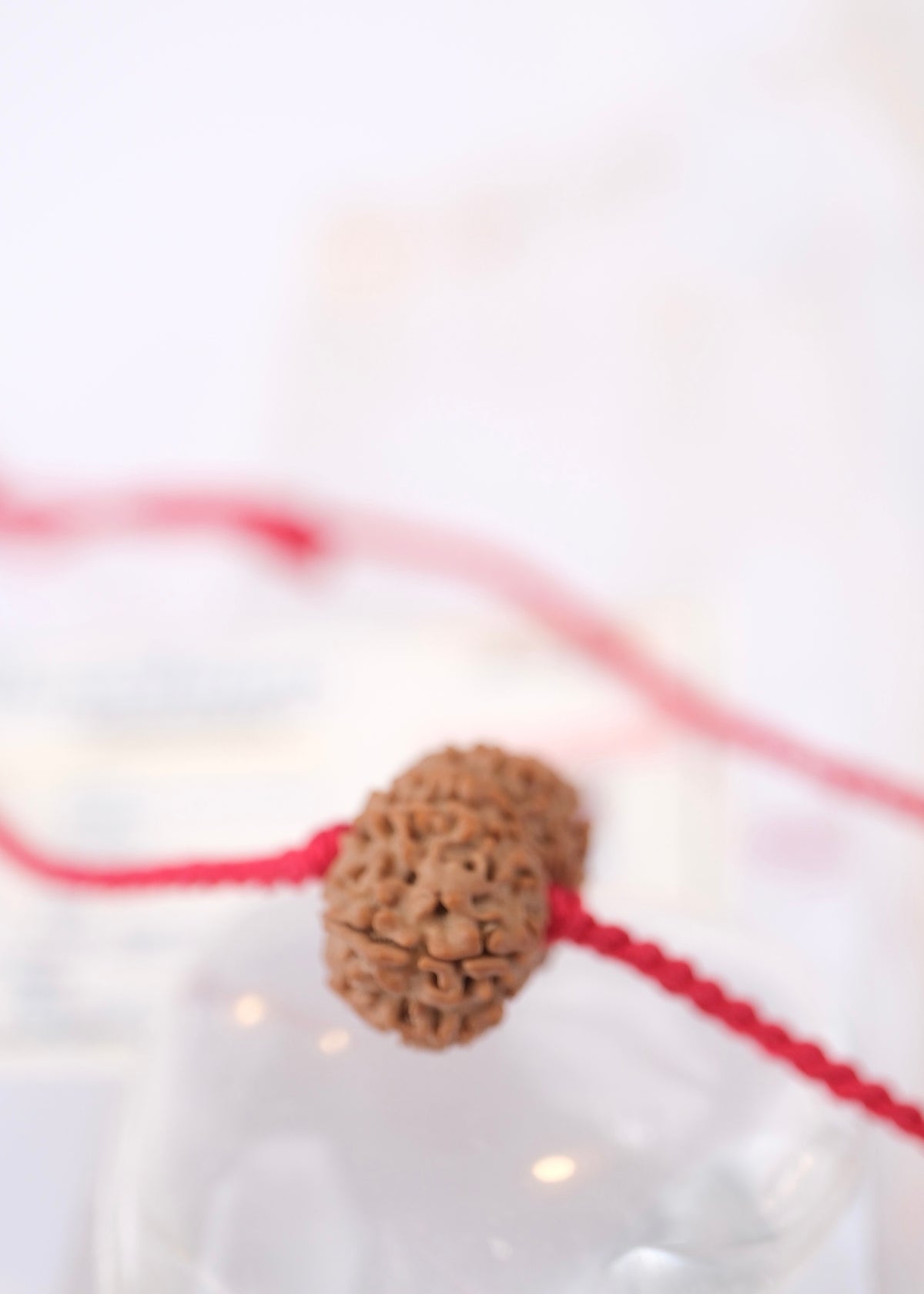 14 Mukhi Collectors Nepal Rudraksha 'DEV MANI' Pendant | Prosperity in all areas, Protection SHIVA