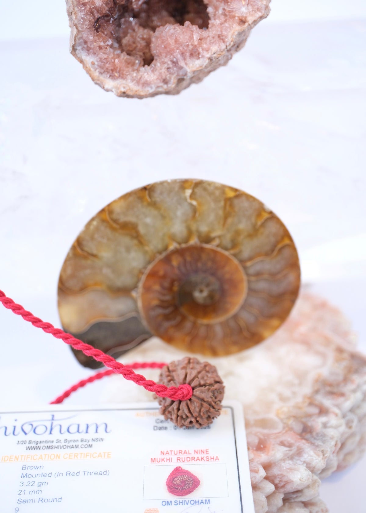 9 Mukhi Collectors Nepal Rudraksha | Goddess Durga | 9 aspects of Divine Mother SHAKTI