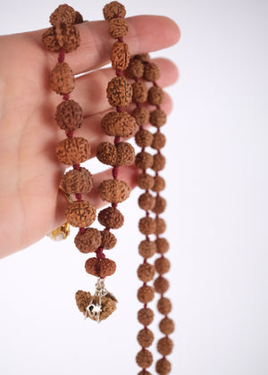 Rare Indonesian Siddha Mala Rudraksha strung as 81 beads with a Gauri Shankar guru bead and Ek Mukhi Om pendant, blessed by Ma Ganga.