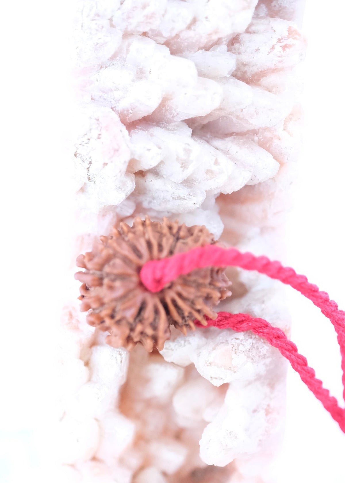 14 Mukhi Collectors Nepal Rudraksha &#39;DEV MANI&#39; Pendant | Prosperity in all areas, Protection SHIVA