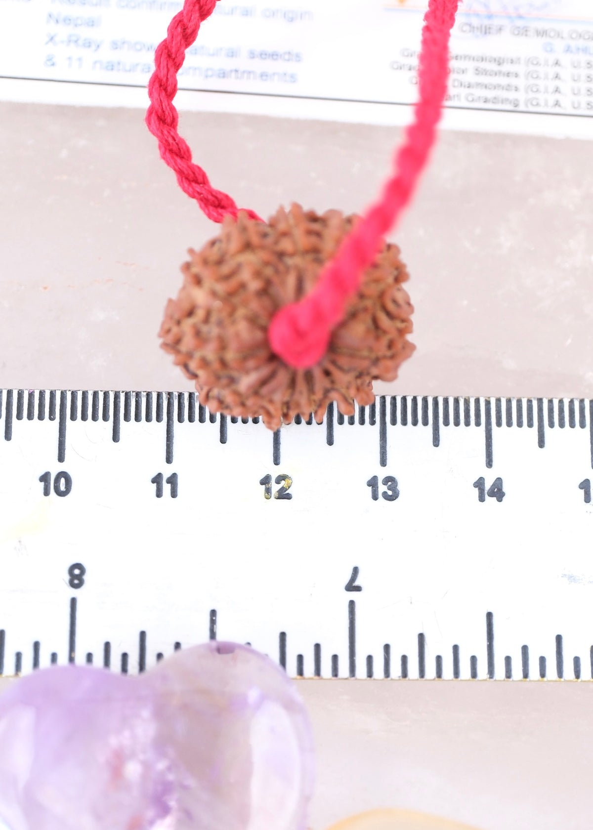 11 Mukhi Collectors Nepal Rudraksha | HANUMAN Virtue &amp; Immense Protection.