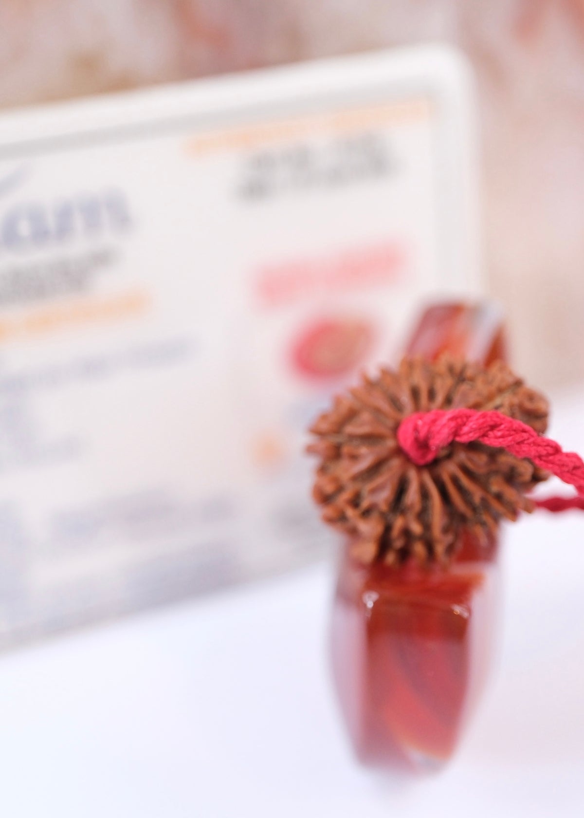14 Mukhi Collectors Nepal Rudraksha &#39;DEV MANI&#39; Pendant | Prosperity in all areas, Protection SHIVA
