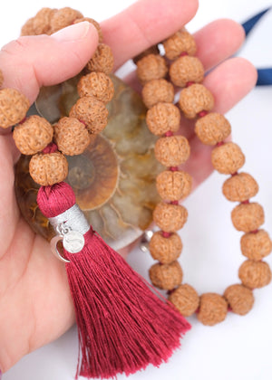 MAHA Pathri Chikna Rare Kantha Rudraksha Mala | 54 + Guru, 12.5mm of the finest Rudraksha