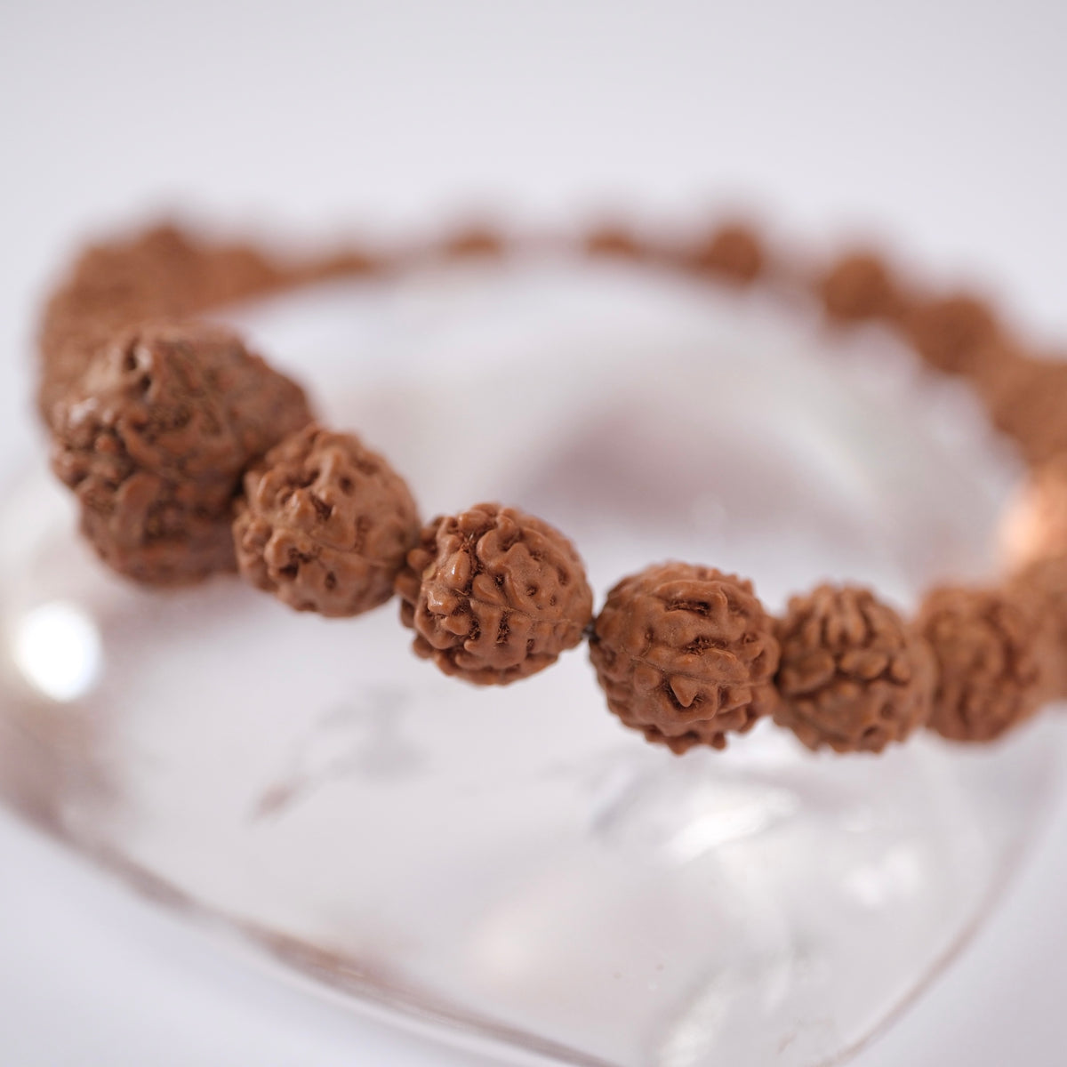 ABUNDANCE Lakshmi 7 Mukhi Guru bead & 5 face Rudraksha bracelet