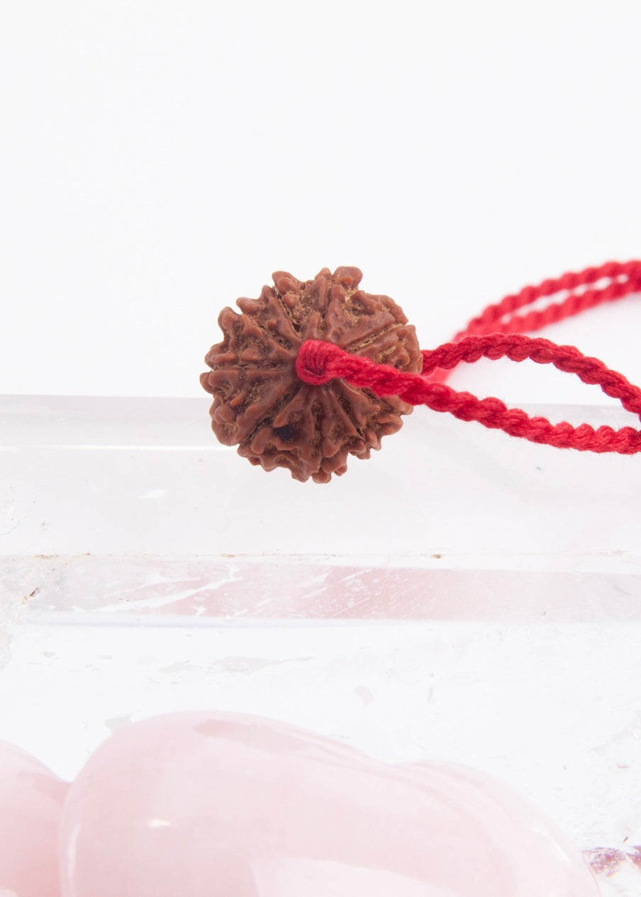 9 Mukhi Collectors Nepal Rudraksha | Goddess Durga | 9 aspects of Divine Mother SHAKTI