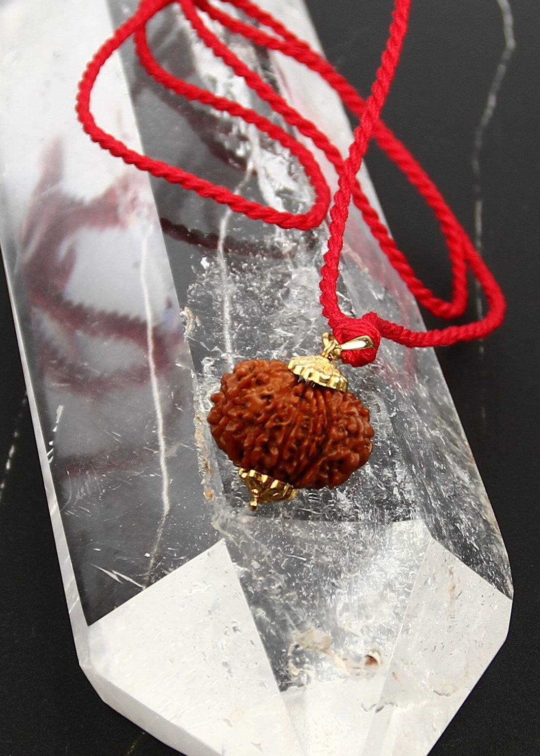 DEV MANI 14 Mukhi Collectors Nepal Rudraksha 18k Gold Pendant | Prosperity and all the God&#39;s Jewels