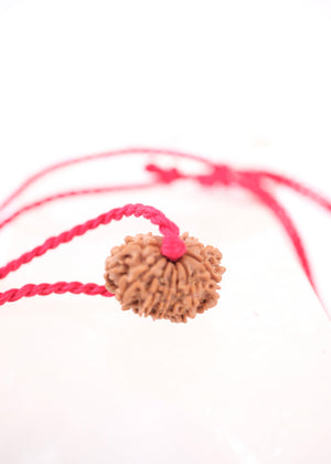 13 Mukhi Collectors Nepal Rudraksha INDRA, KAMDEV, CUPID | Love, Abundance, Charisma