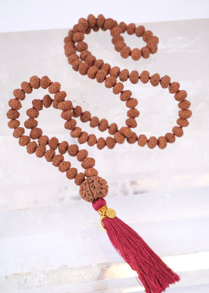 TEMPLE Collection GANAPATI Riddhi Siddhi Mala | Nepal 8 Mukhi Guru bead with 108 Premium Indonesian 8 Mukhi Rudraksha