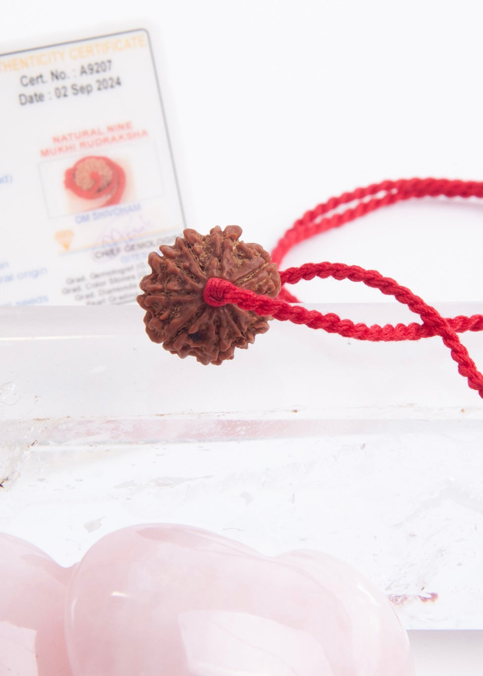 9 Mukhi Collectors Nepal Rudraksha | Goddess Durga | 9 aspects of Divine Mother SHAKTI