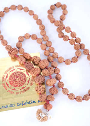 Rare Indonesian Siddha Mala Rudraksha strung as 81 beads with a Gauri Shankar guru bead and Ek Mukhi Om pendant, blessed by Ma Ganga.