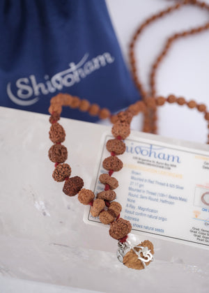 SRI OM SIDDHA MALA for Meditation, Protection & all Siddhi's | Indonesian 1 - 14 Mukhi, Ganesh, Gauri Shankar