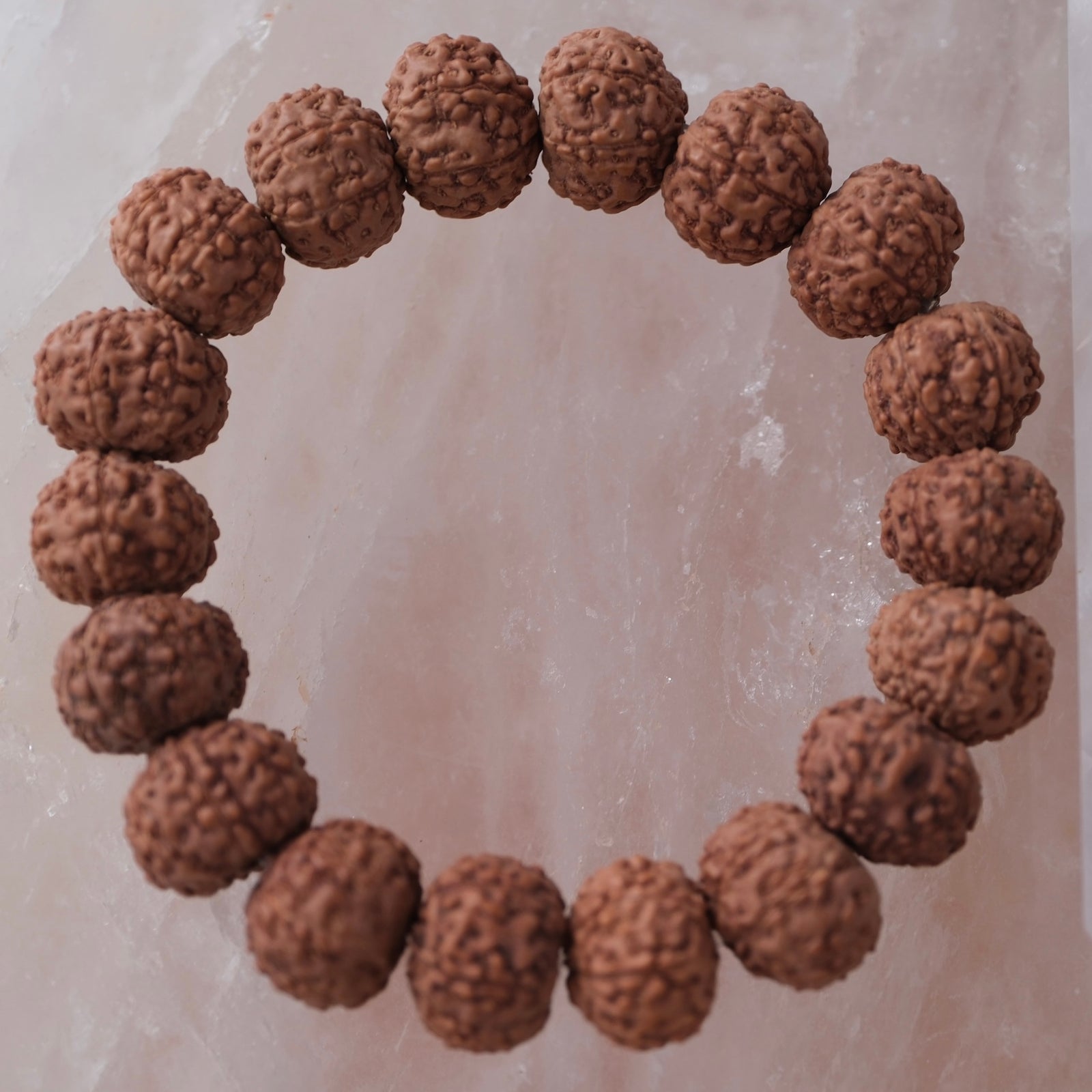 LAKSHMI Wealth & Abundance Temple Collection | Fine Indonesian 7 Mukhi Rudraksha bracelet