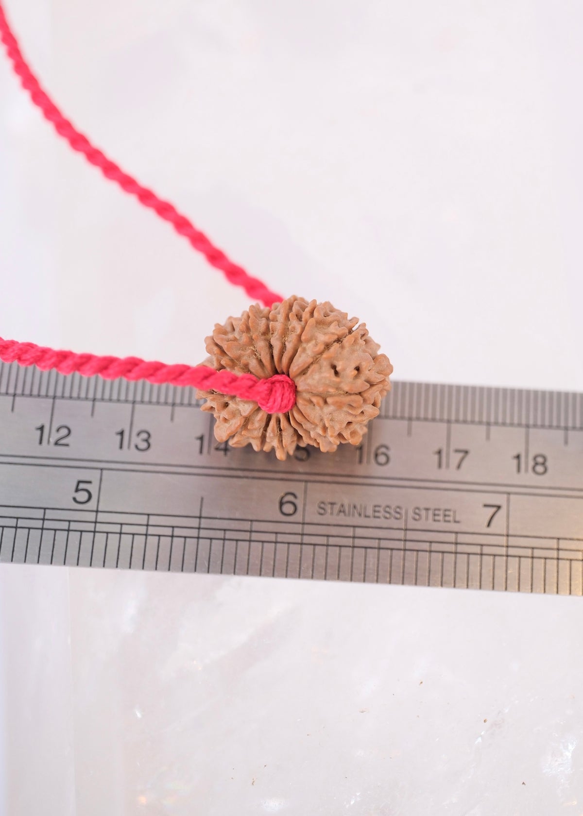14 Mukhi Collectors Nepal Rudraksha 'DEV MANI' Pendant | Prosperity in all areas, Protection SHIVA