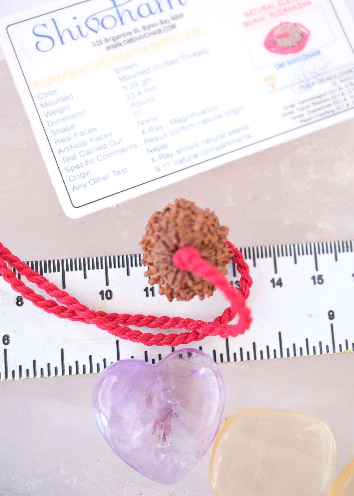 11 Mukhi Collectors Nepal Rudraksha | HANUMAN Virtue &amp; Immense Protection.