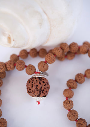 Sacred Nepal 5 Mukhi Rudraksha mala with guarantee certificate