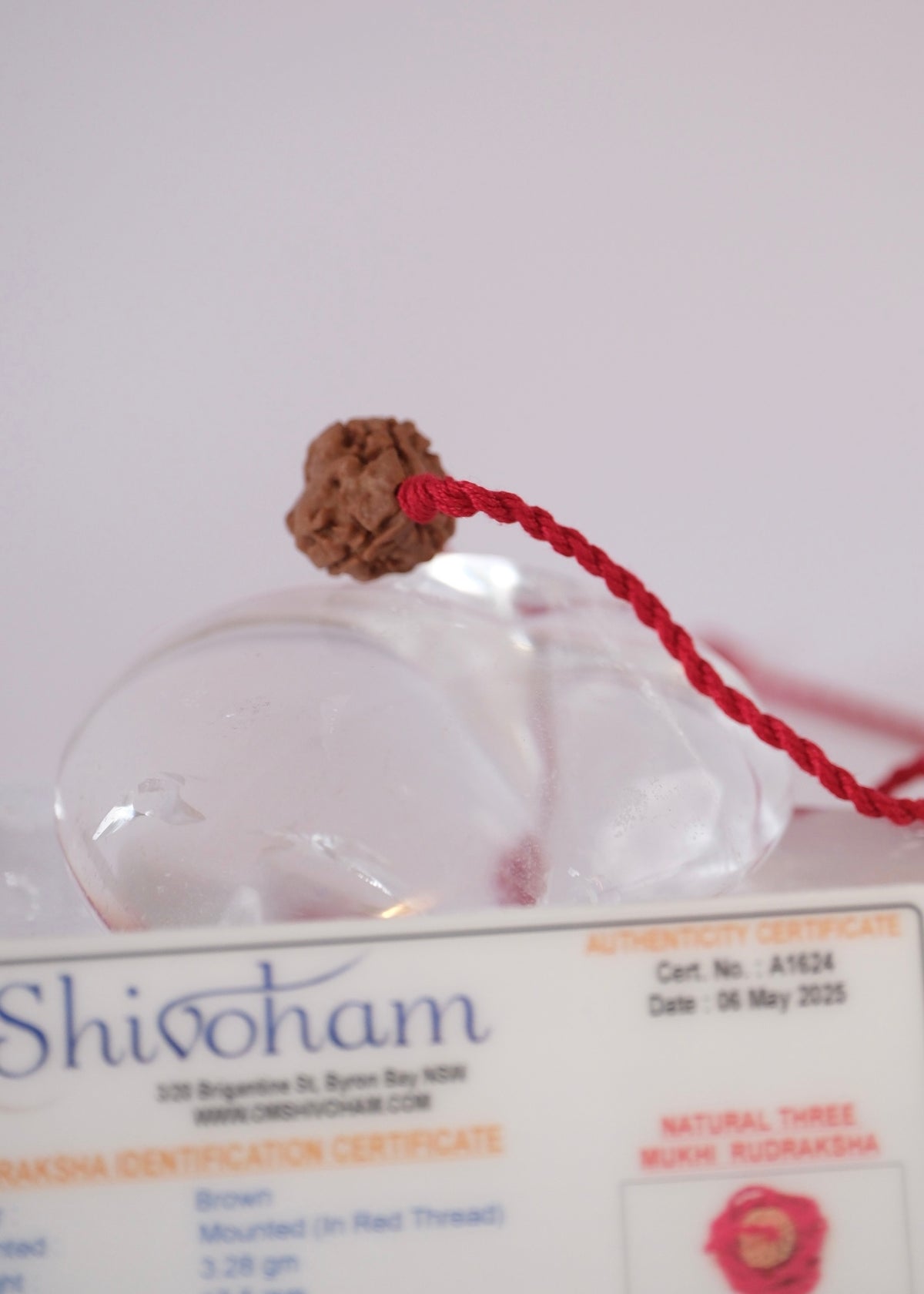 3 Mukhi Collectors Nepal Rudraksha | Trinity: Brahma, Vishnu, Mahesh | Life Changer