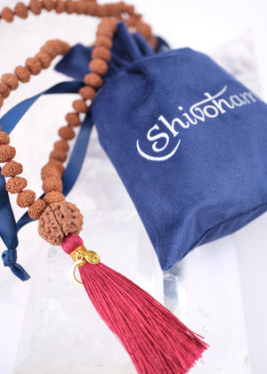TEMPLE Collection GANAPATI Riddhi Siddhi Mala | Nepal 8 Mukhi Guru bead with 108 Premium Indonesian 8 Mukhi Rudraksha