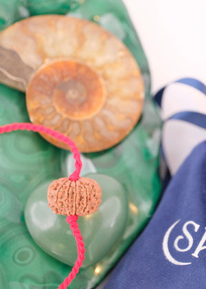 11 Mukhi Collectors Nepal Rudraksha | HANUMAN Virtue & Immense Protection.