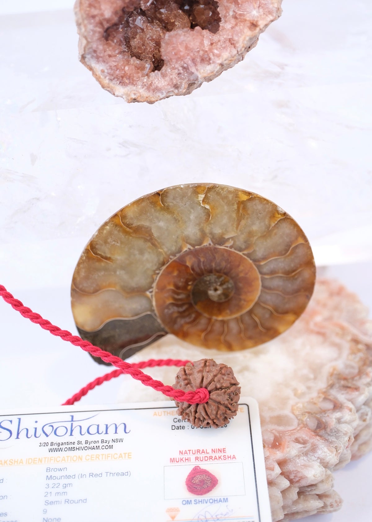 9 Mukhi Collectors Nepal Rudraksha | Goddess Durga | 9 aspects of Divine Mother SHAKTI