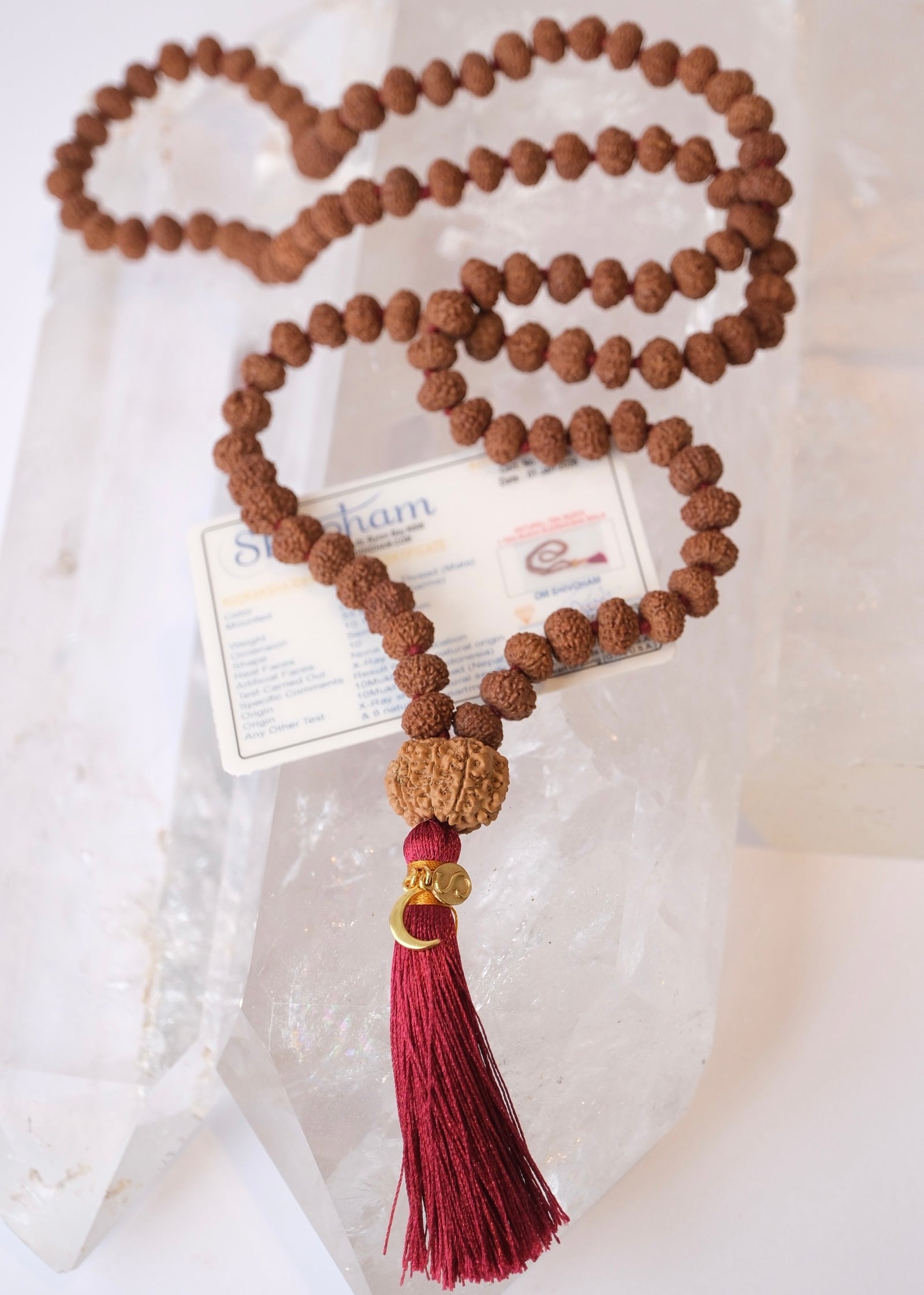 10 Mukhi Rudraksha Mala with Authentic Nepal Beads. 108 bead Japa Meditation Mala