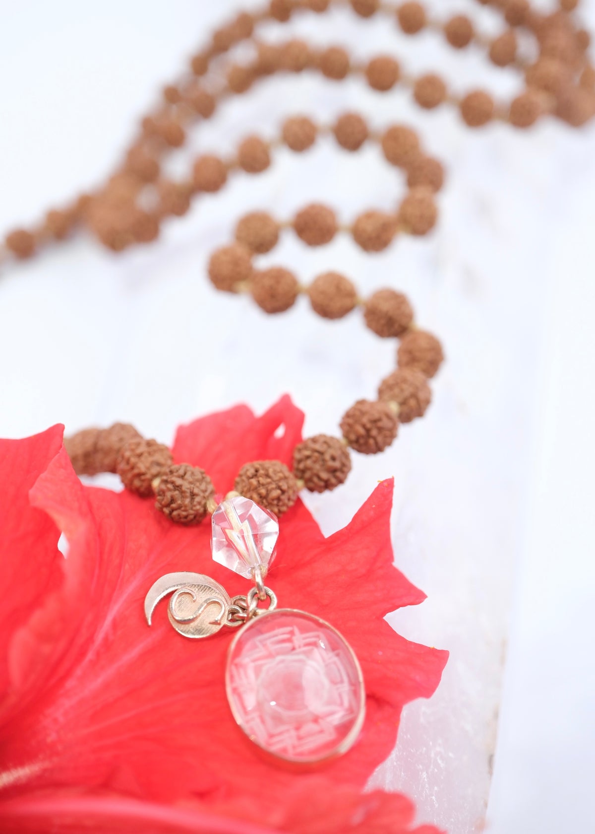 SRI YANTRA MEDITATION| Rudraksha with hand-carved Sri Yantra &amp; Herkimer