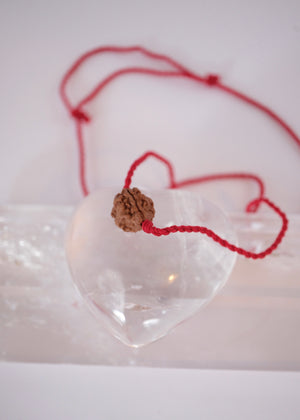 3 Mukhi Collectors Nepal Rudraksha | Trinity: Brahma, Vishnu, Mahesh | Life Changer