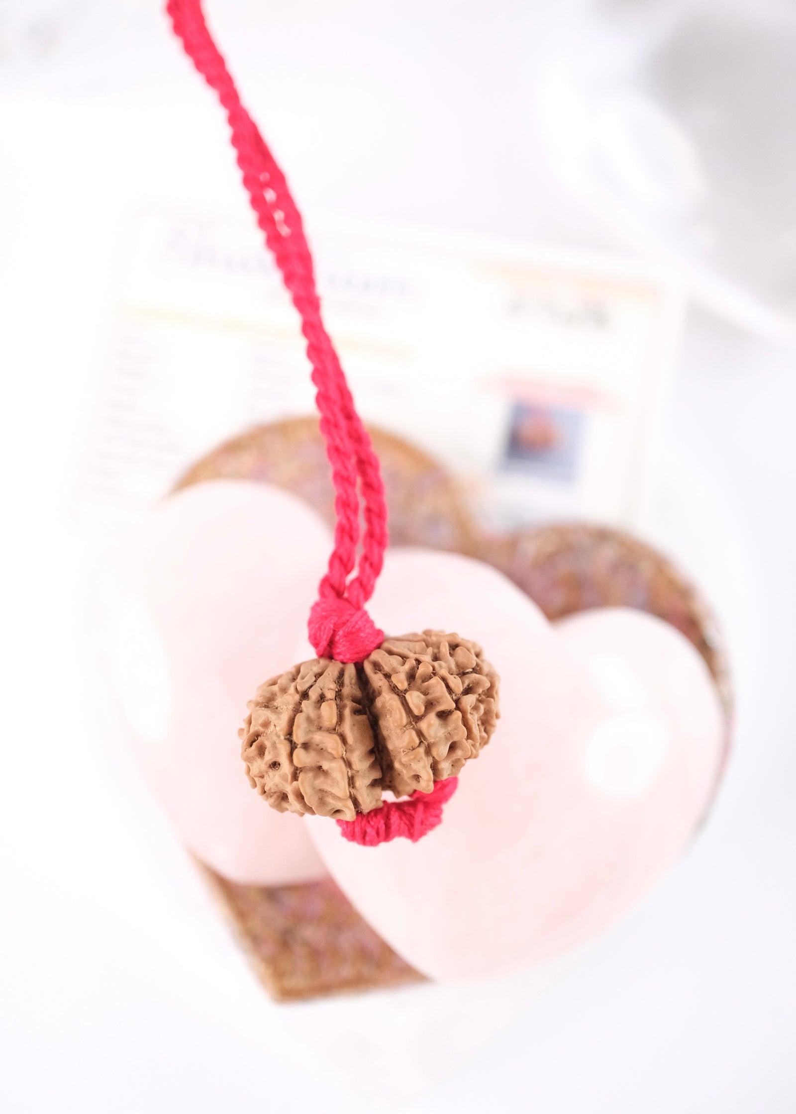 Rare Gauri Shankar Rudraksha pendant from Nepal, two naturally joined beads symbolising the union of Shiva and Shakti, on an adjustable red thread.