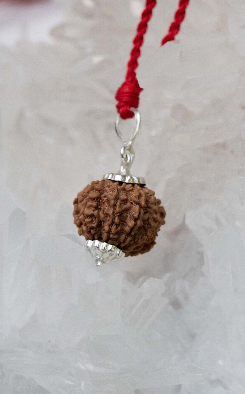 8 Mukhi Collectors Nepal Rudraksha Sterling Silver Rudraksha Pendant | Riddhi &amp; Siddhi Wealth &amp; Powers | Ganapati Ganesh