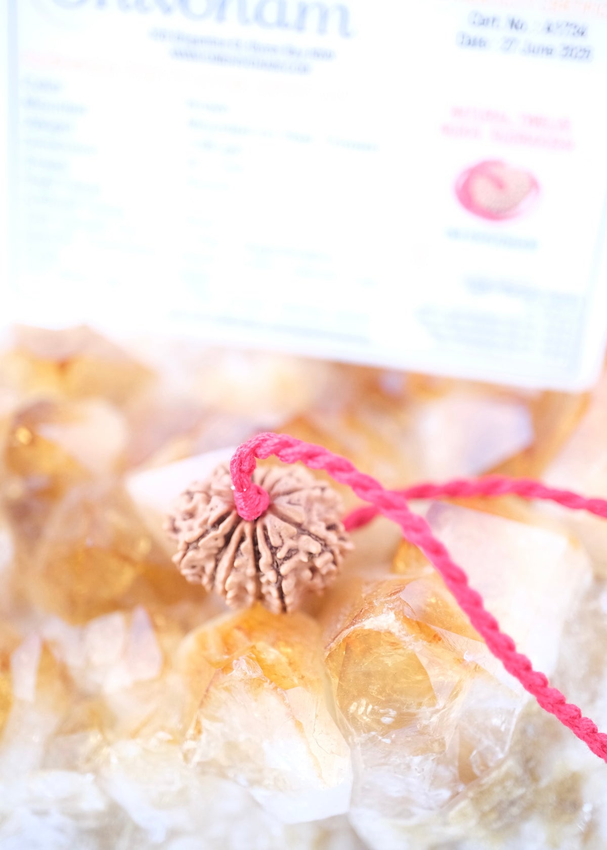 12 Mukhi Collectors Nepal Rudraksha | SURYA Sun, Vital Energy, Strength &amp; Success