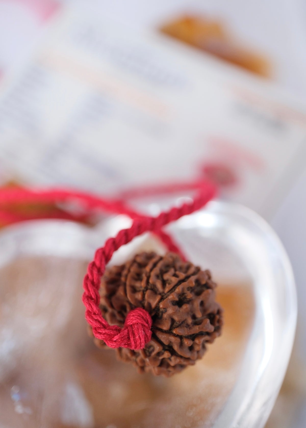 TEN Mukhi Nepal Rudraksha Pendant 'The Shield of Vishnu' | Protector of the Universe ensuring Success & Victory