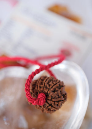 TEN Mukhi Nepal Rudraksha Pendant 'The Shield of Vishnu' | Protector of the Universe ensuring Success & Victory