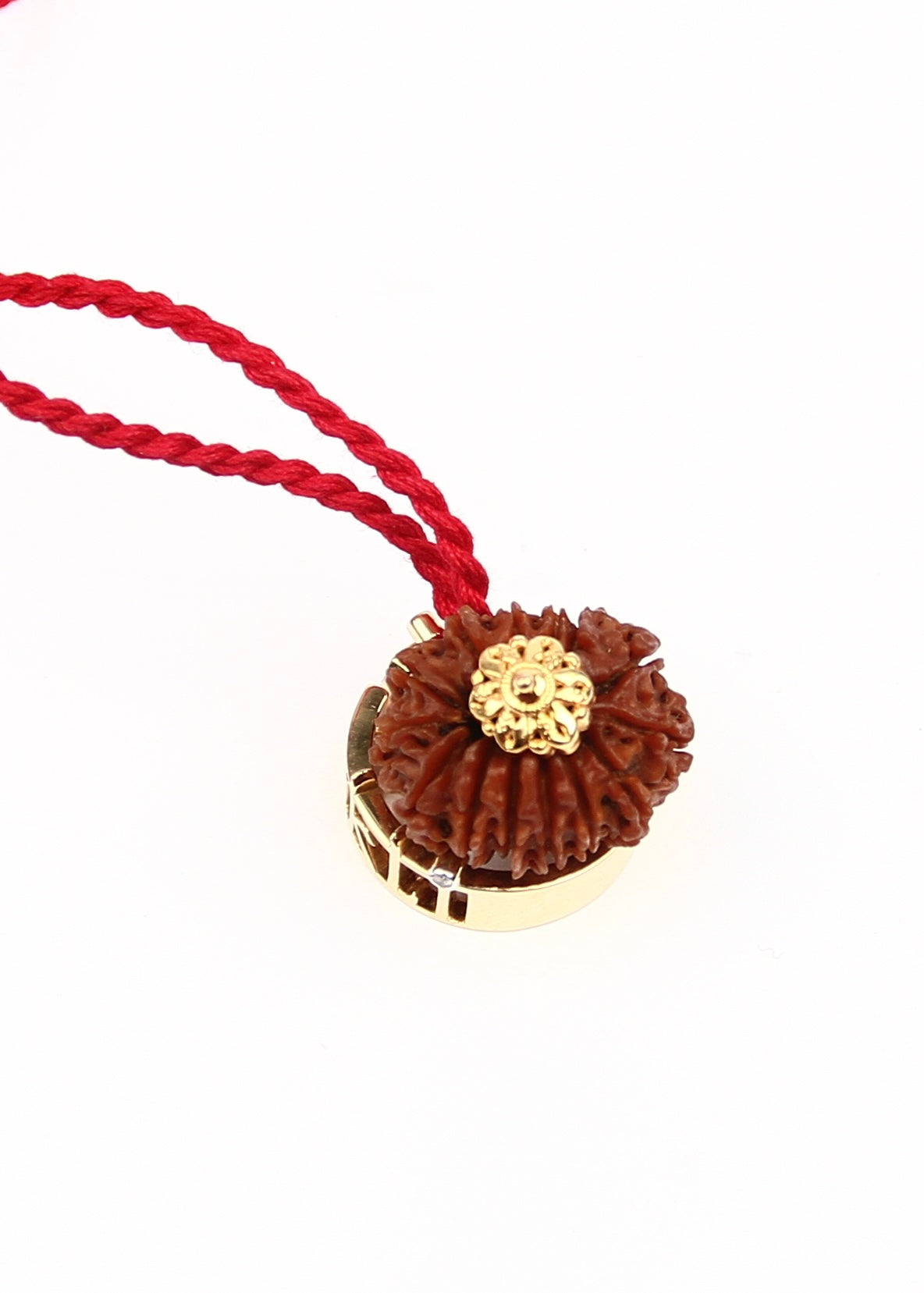 DEV MANI 14 Mukhi Collectors Nepal Rudraksha 18k Gold Pendant | Prosperity and all the God&#39;s Jewels