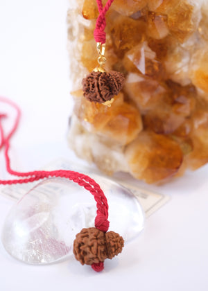 Garbh Gauri Rudraksha | Rare Collectors Nepal bead