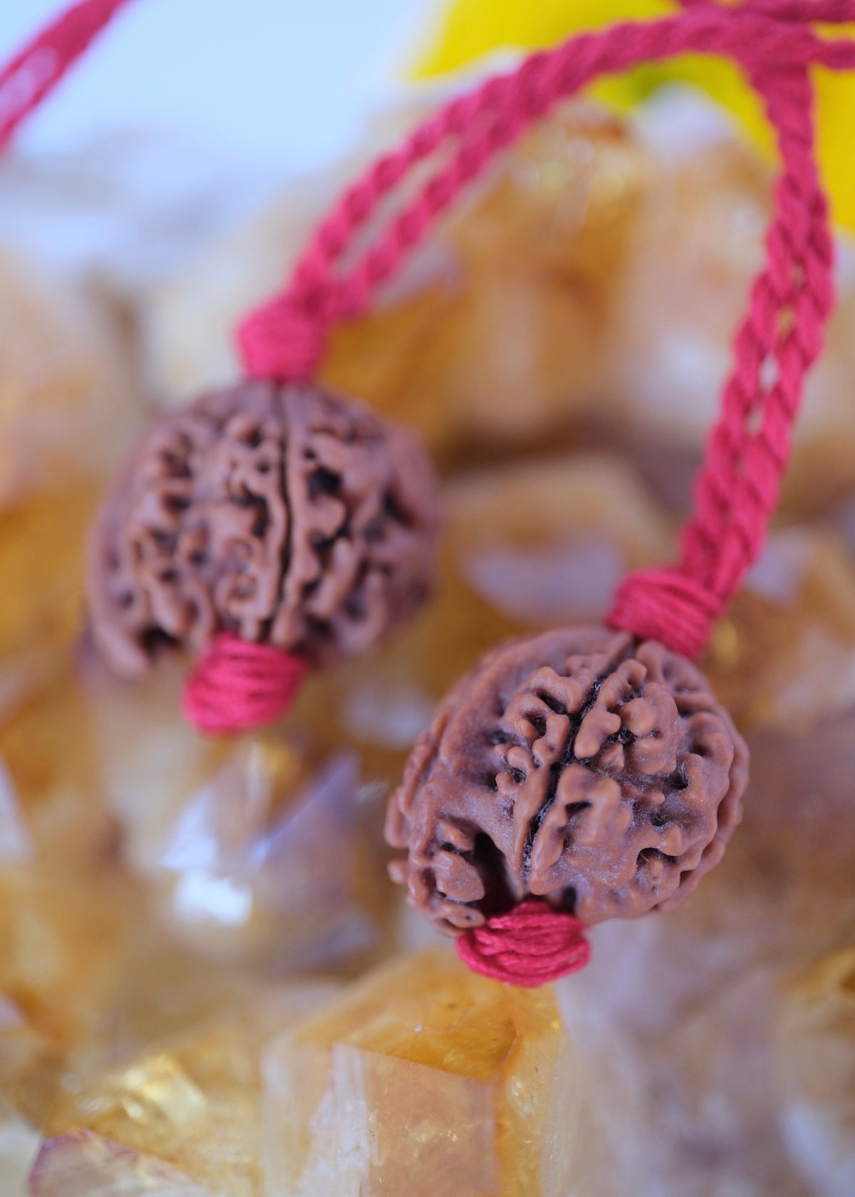 Original Himalayan Ganesh Rudraksha beads showing the natural trunk formation of Ganesha and clear lines showing faces.