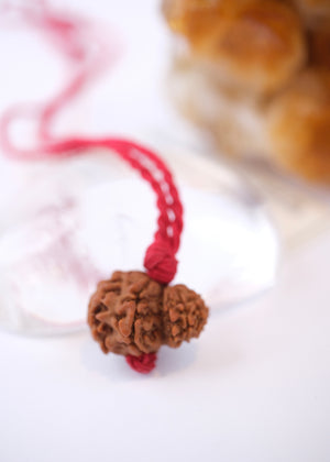 Garbh Gauri Rudraksha | Rare Collectors Nepal bead