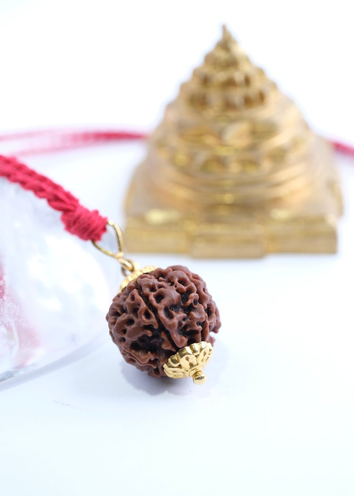 6 Mukhi 18k Gold Collectors Nepal Rudraksha Pendant | Kartikeya Power &amp; Success