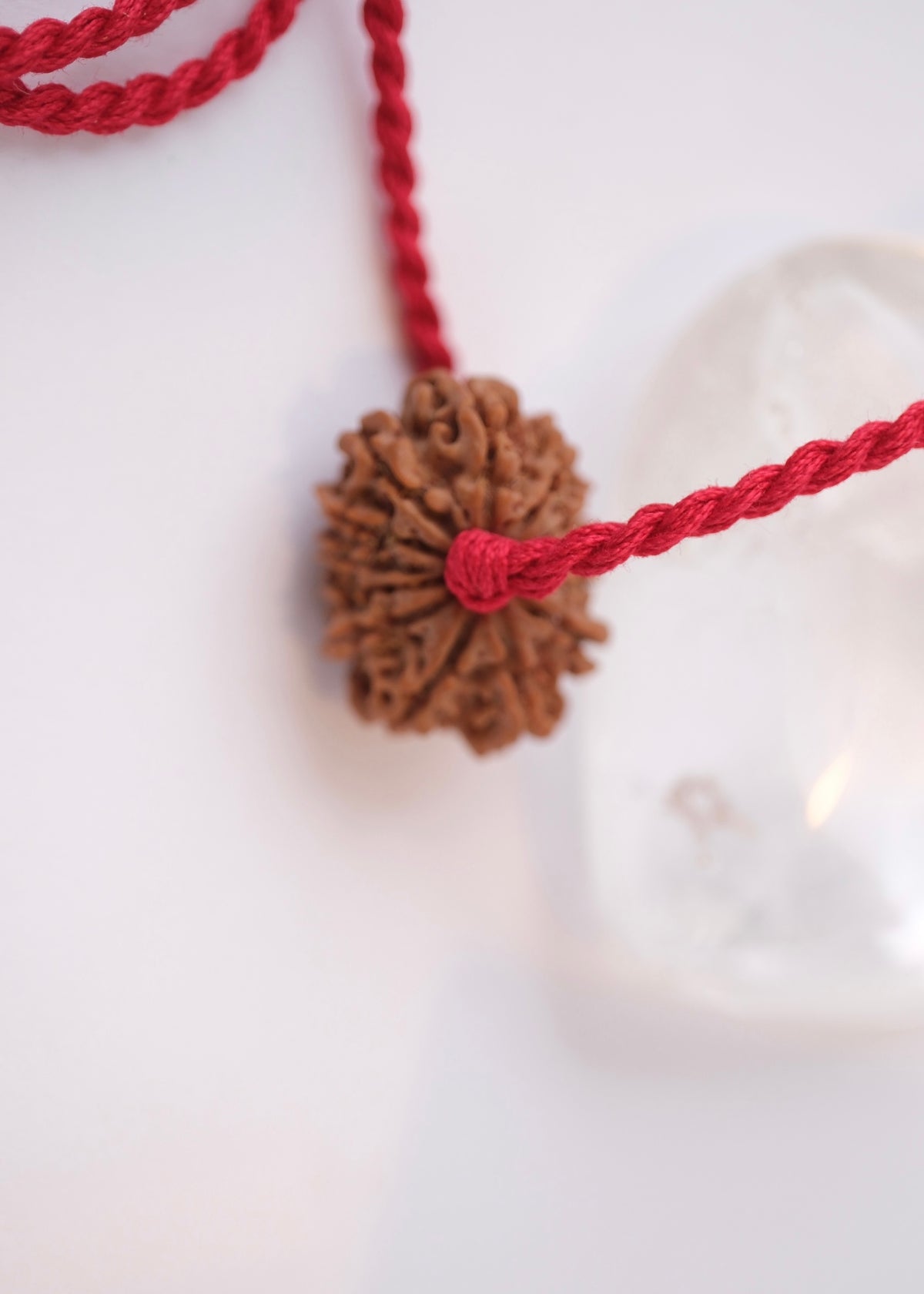13 Mukhi Collectors Nepal Rudraksha INDRA, KAMDEV, CUPID | Love, Abundance, Charisma