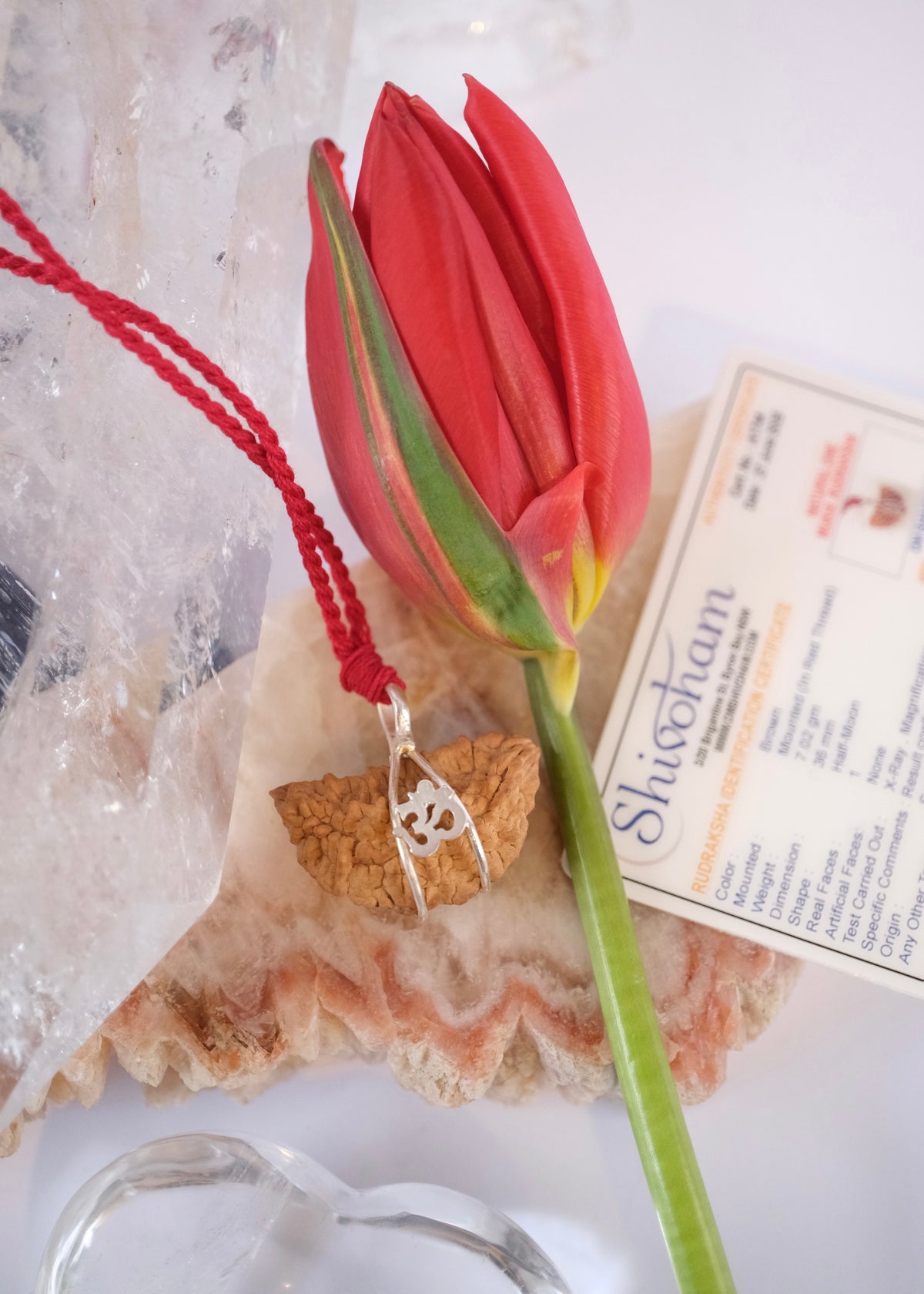1 Mukhi OM Sterling Silver Collectors Rudraksha Pendant | SHIVA Consciousness &amp; Liberation