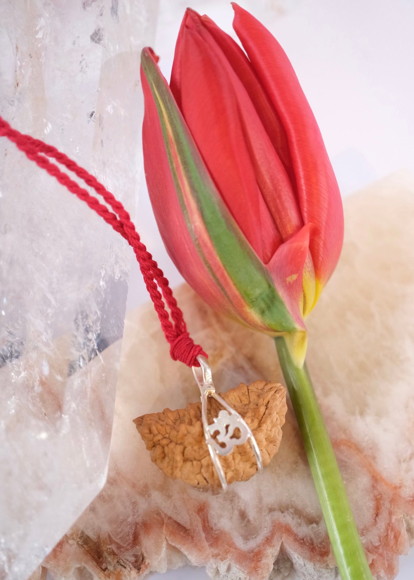 1 Mukhi OM Sterling Silver Collectors Rudraksha Pendant