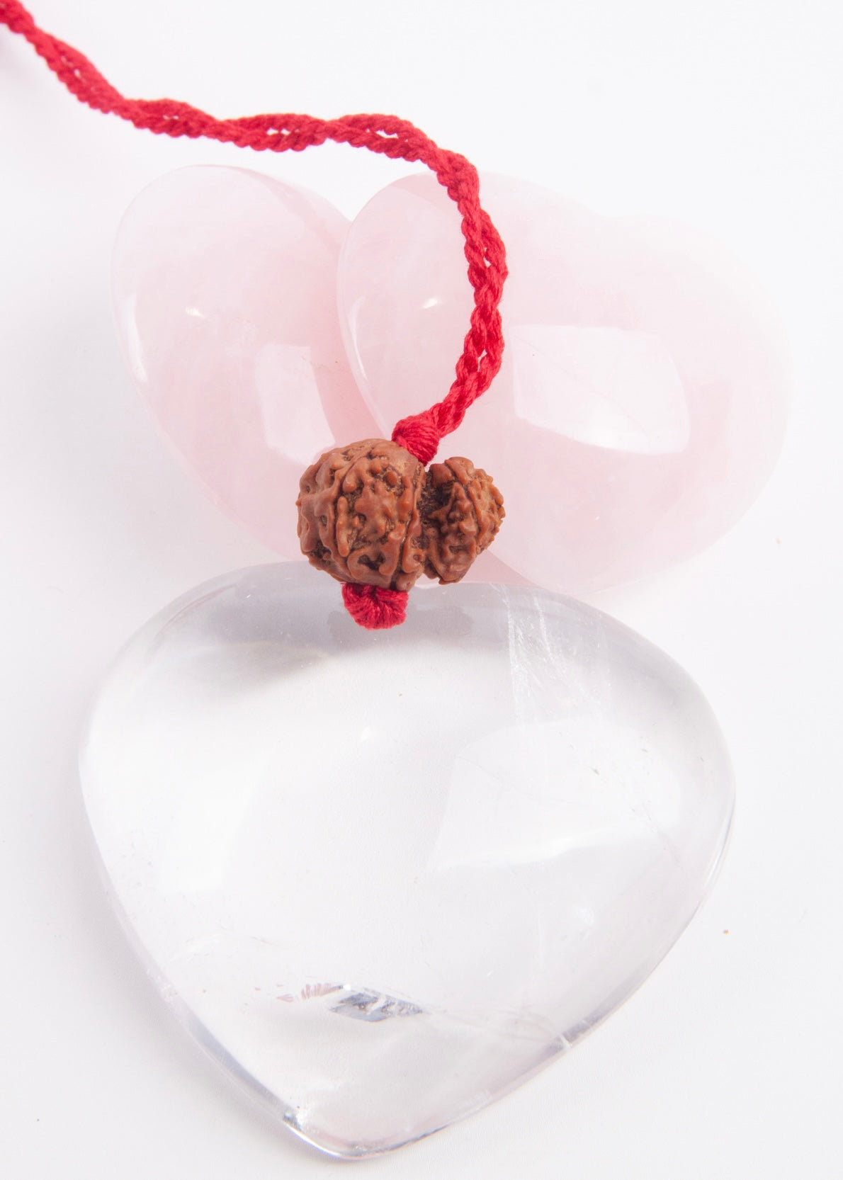 Garbh Gauri Rudraksha | Rare Collectors Nepal bead