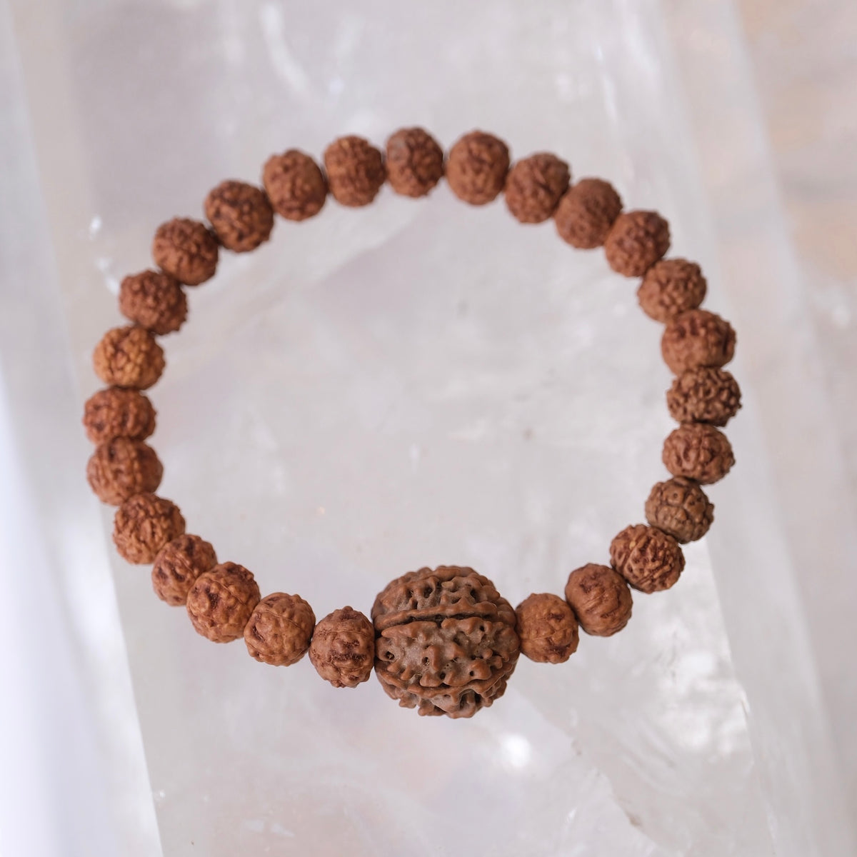 TEMPLE Collection LAKSHMI 7 Mukhi Nepal Guru bead with 7 Mukhi from Indonesia | Rudraksha bracelet