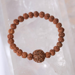 TEMPLE Collection LAKSHMI 7 Mukhi Nepal Guru bead with 7 Mukhi from Indonesia | Rudraksha bracelet