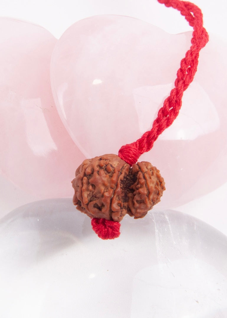 Garbh Gauri Rudraksha | Rare Collectors Nepal bead