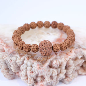 TEMPLE Collection LAKSHMI 7 Mukhi Nepal Guru bead with 5 Mukhi from Indonesia | Rudraksha bracelet